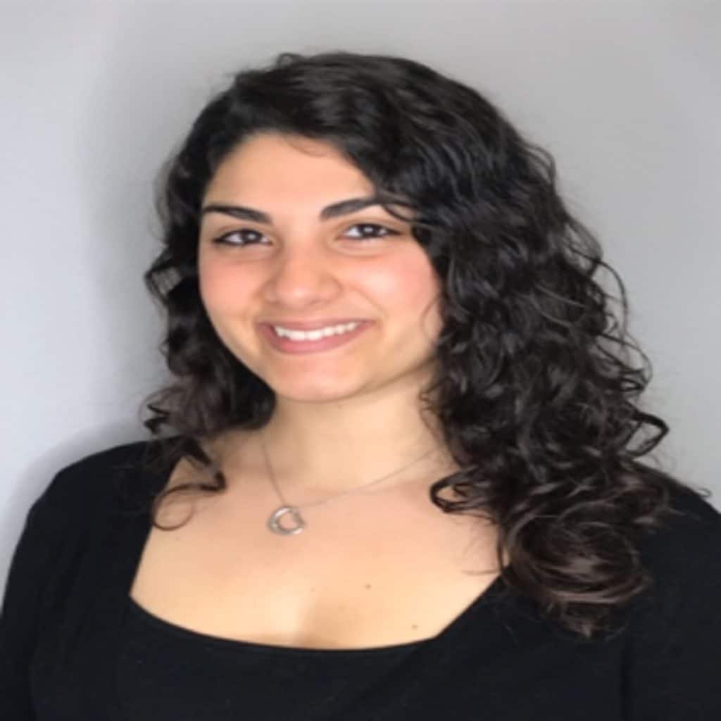 Advanced Balayage Shear Genius Salon Hair Salon Norwalk CT